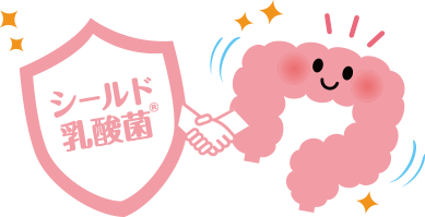 シールド乳酸菌と腸