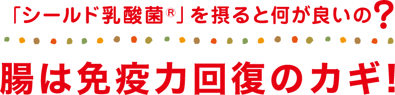 腸は免疫力回復のカギ!