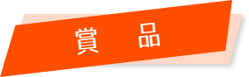 h3 賞品