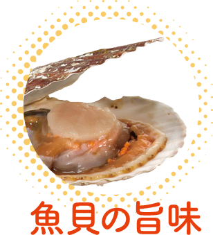 魚貝の旨味