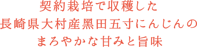 h3 契約栽培で収穫した ⻑崎県大村産黑田五寸にんじんの まろやかな甘みと旨味